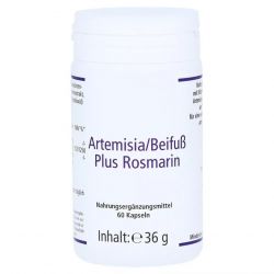 Артемизинин 392 мг капс. 60шт в Саратове и области фото